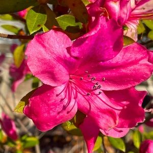 Meet your Posher, Judy